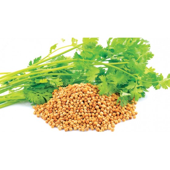 Coriander seed,   芫荽純精油 ,   10ml