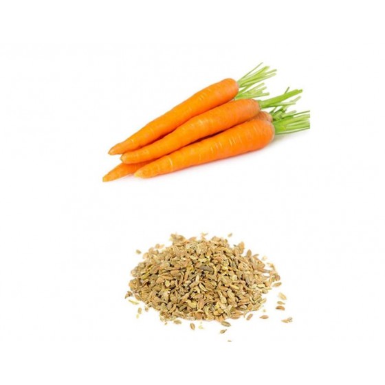 Carrot Seed ,  胡蘿蔔種籽純精油 ,  10ml