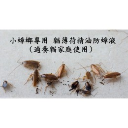 貓薄荷精油防蟑液(居家小蟑螂專用),   250ml 填充瓶